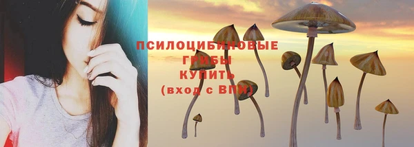 трава Белоозёрский